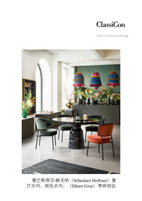 Brochure New Products 2025 (ZH)